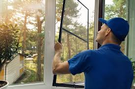 Best Commercial Window Installation in Wren, AR